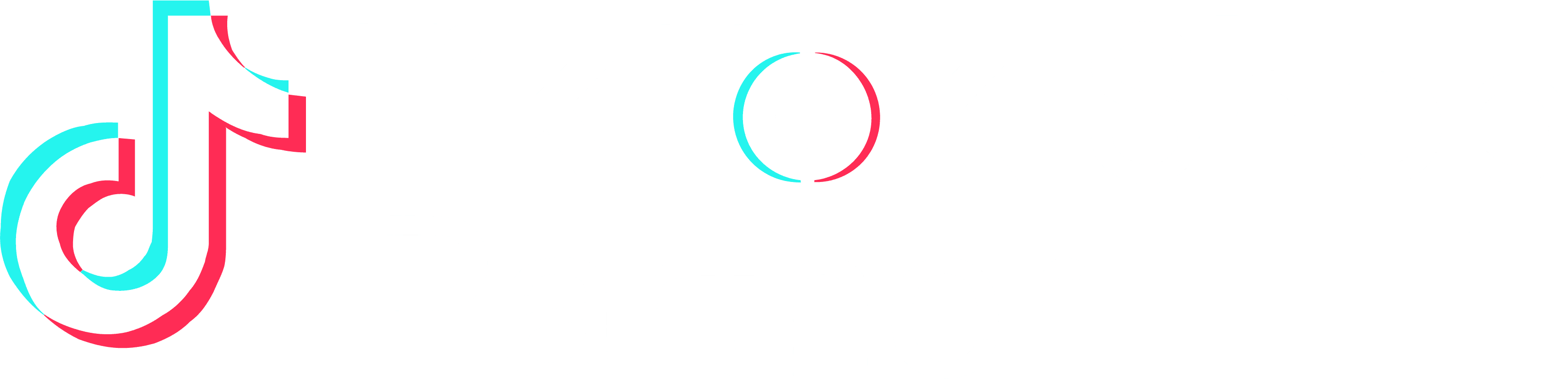 Tiktok Shop Partner